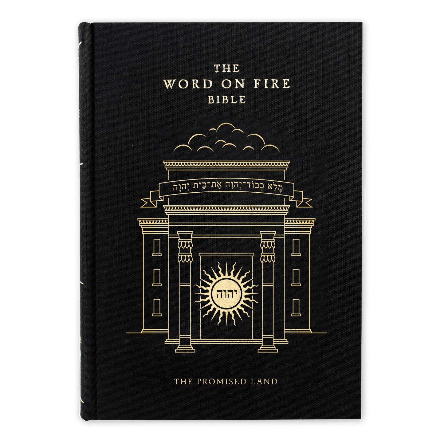 The Word on Fire Bible (Volume IV): The Promised Land